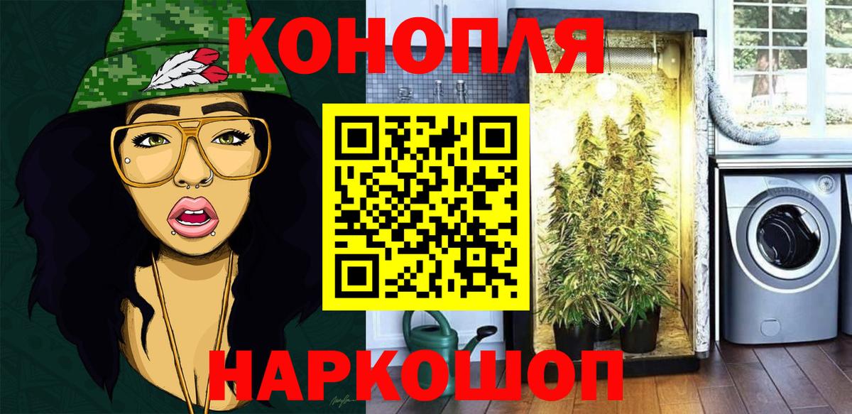 Шишки марихуана сатива  Каннабис планчик  Вход с VPN  Ирбит  Шишки марихуана план 